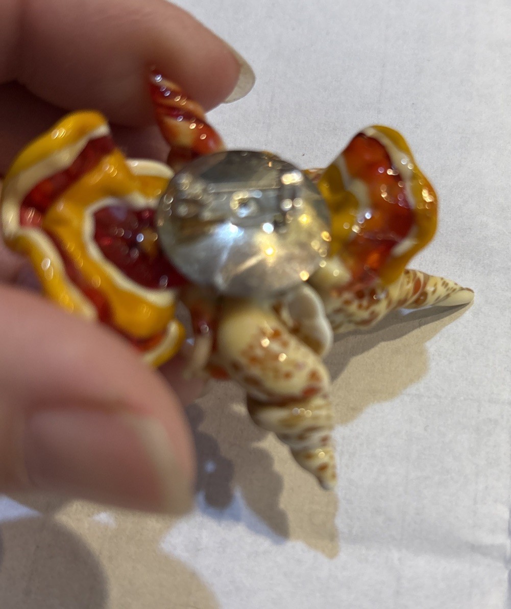 Lucite Acrylic Sea shell Brooch Pin