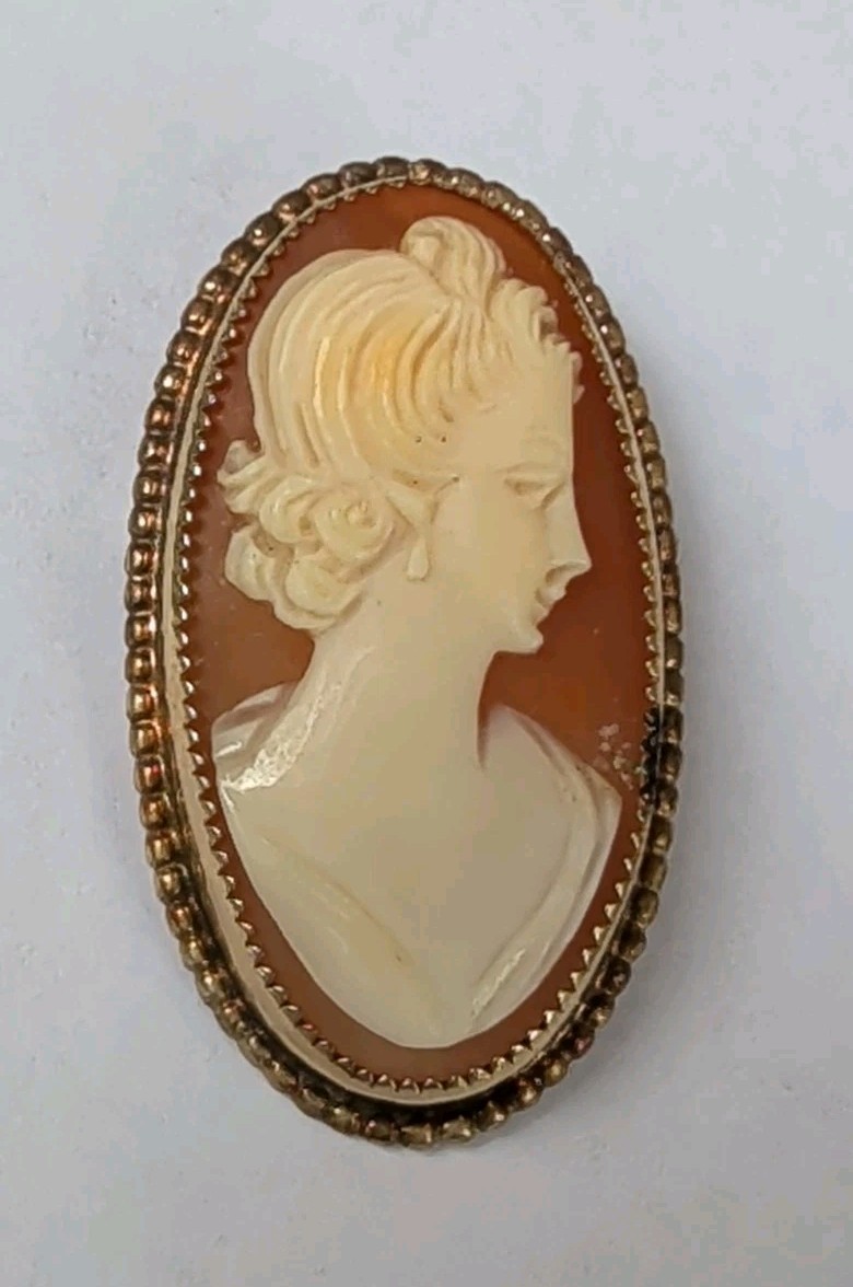 Vintage Faux Cameo Brooch Necklace And 2 x Earrings