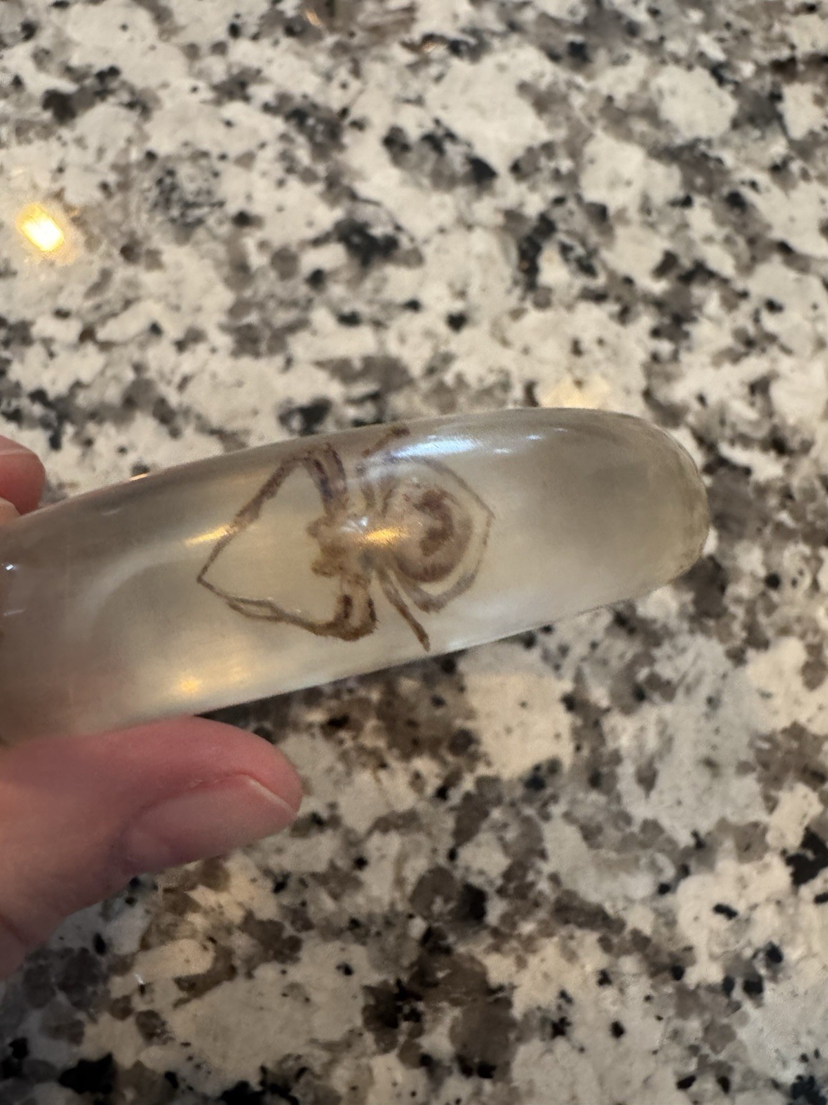 Vintage Lucite SPIDER Bangle Bracelet Real Bugs Embedded Resin Oddities Jewelry