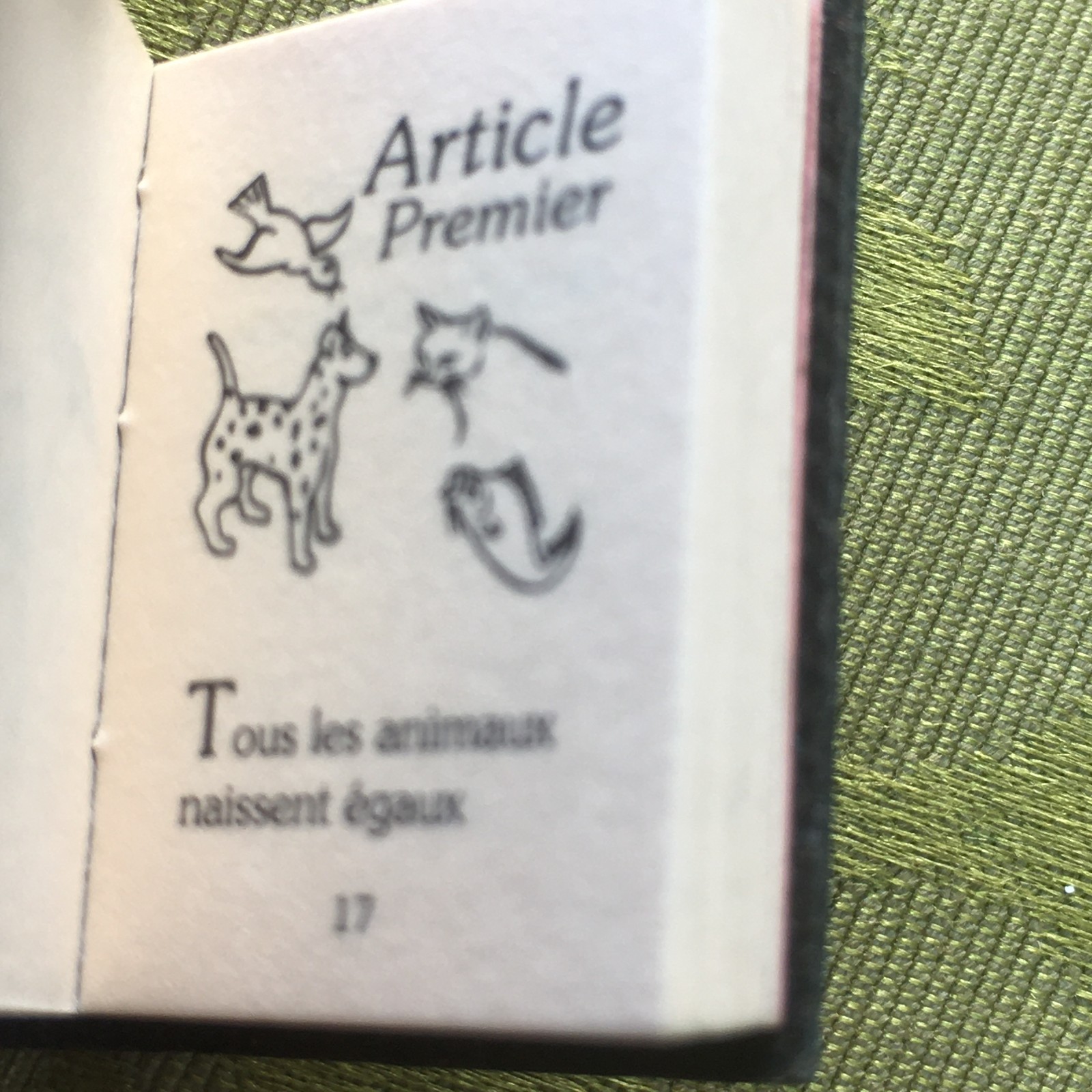 FRENCH RARE 1970s ANIMAL RIGHTS PIN BROOCH~SMALL BOOK SHAPE~UNIQUE VINTAGE GIFT