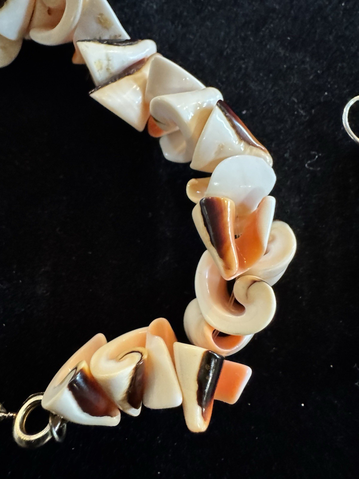 Vintage Shell Bracelet And Pierced Drop Earrings Set Tropical Jewelry