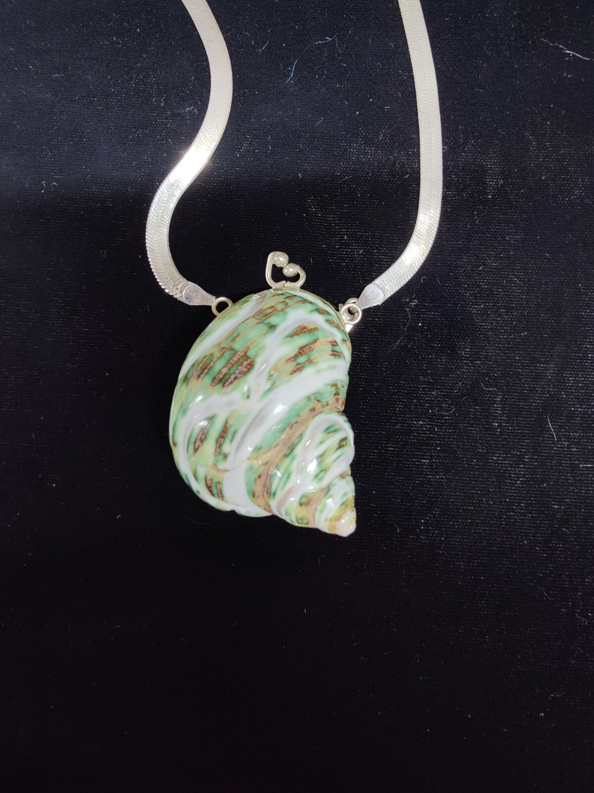 Natural Green Hand Carved 🐚 Sea Shell “Stash” Locket With Silver Free Shiping