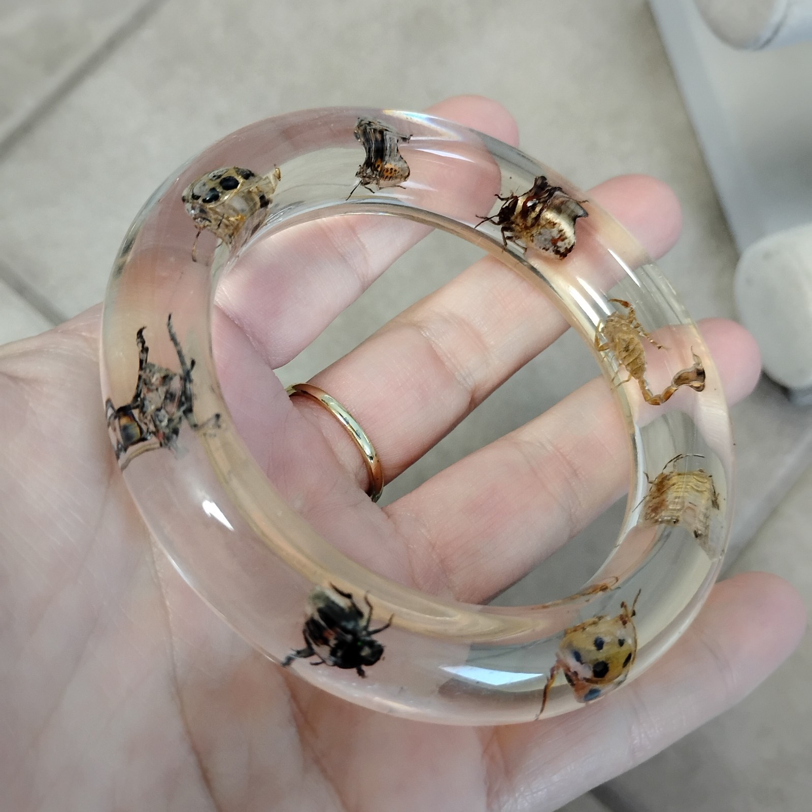 Vtg Clear Bug Bangle Encased Beetles, Scorpion, Insects Sz 7.75 Bracelet