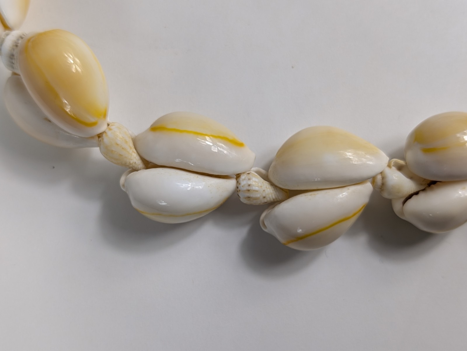 Vintage Hand Knotted Polished Large Sea Shell Beaded Long Necklace Unique Design