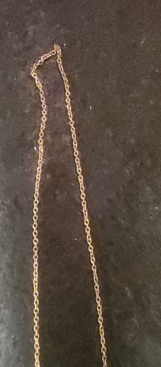 Vintage The Medallion of Hope Wealth Love Health Sterling Gold Wash Necklace
