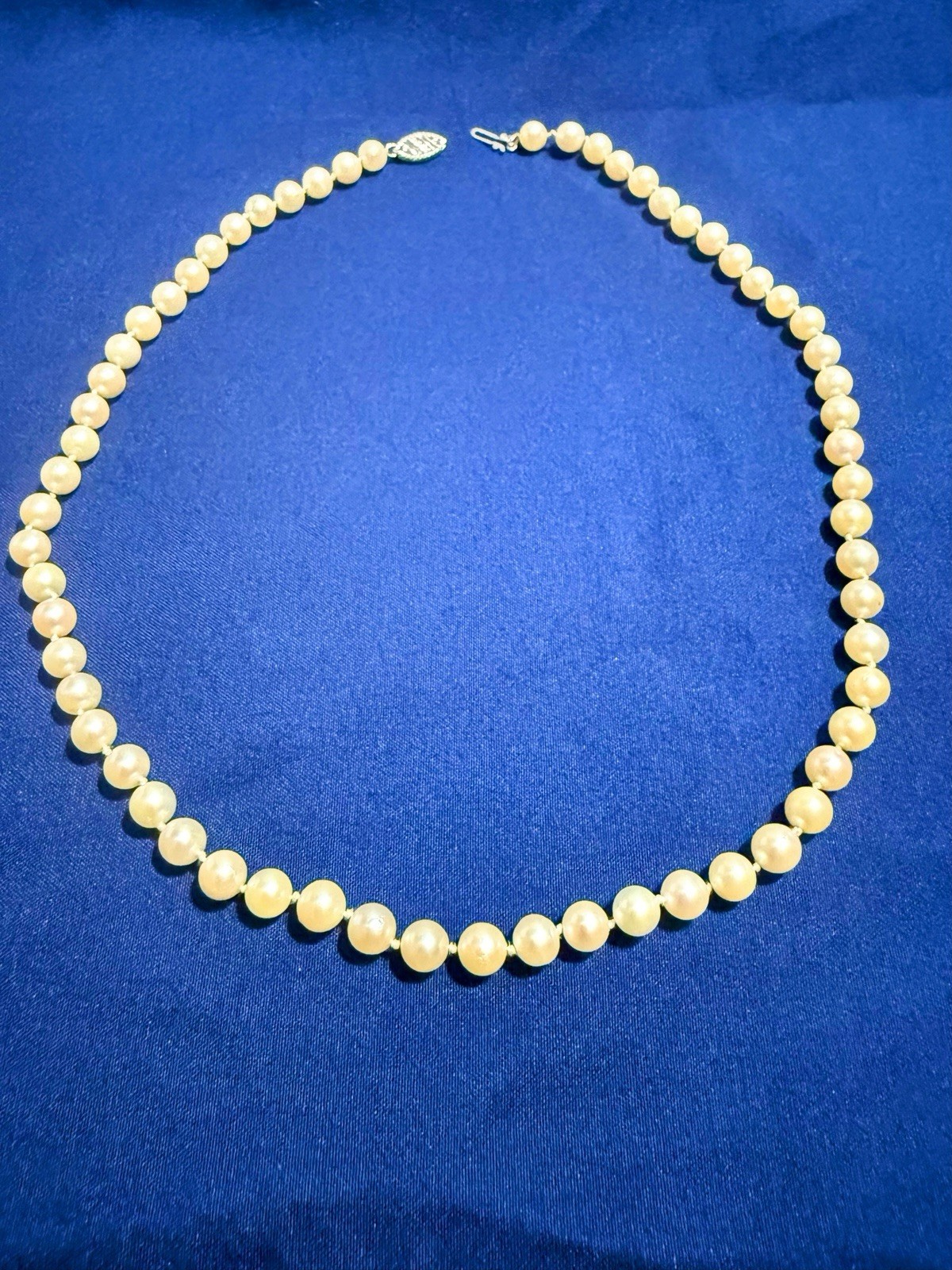 Salt Water Cultured Akoya Pearls Choker. 16-1/2 Length .