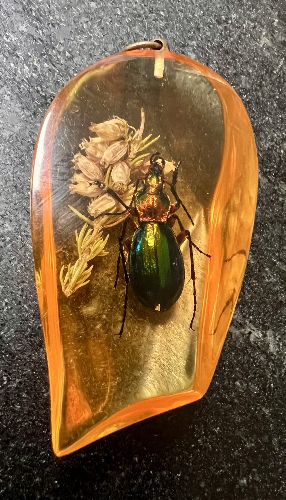 Amber Colored Resin Pendant With Fiery Search Ground Beetle & Flower 2.5”