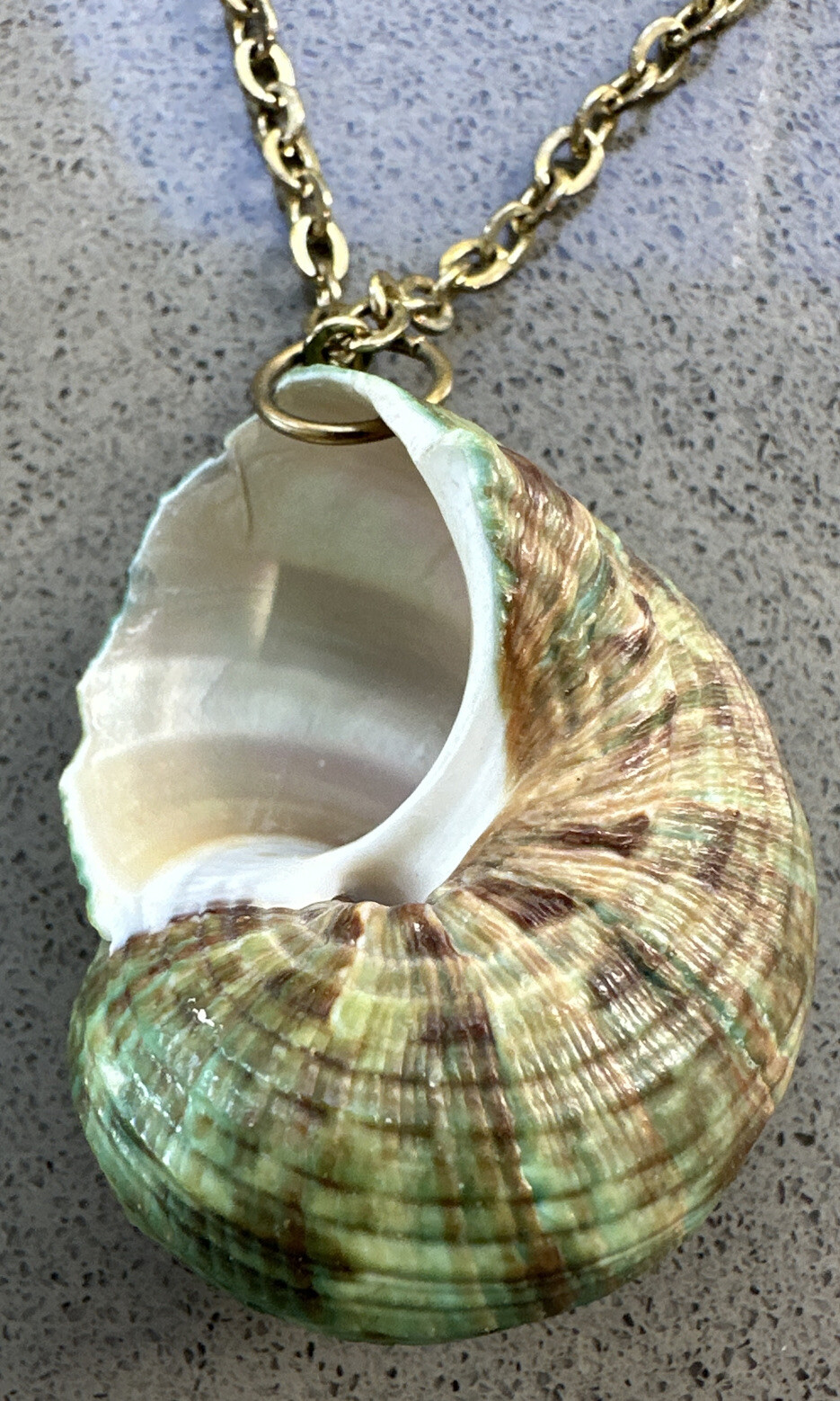 Vintage Lot Of 3 Necklaces (20” & 30”) And 6 Gold Tipped Real Seashell Pendants