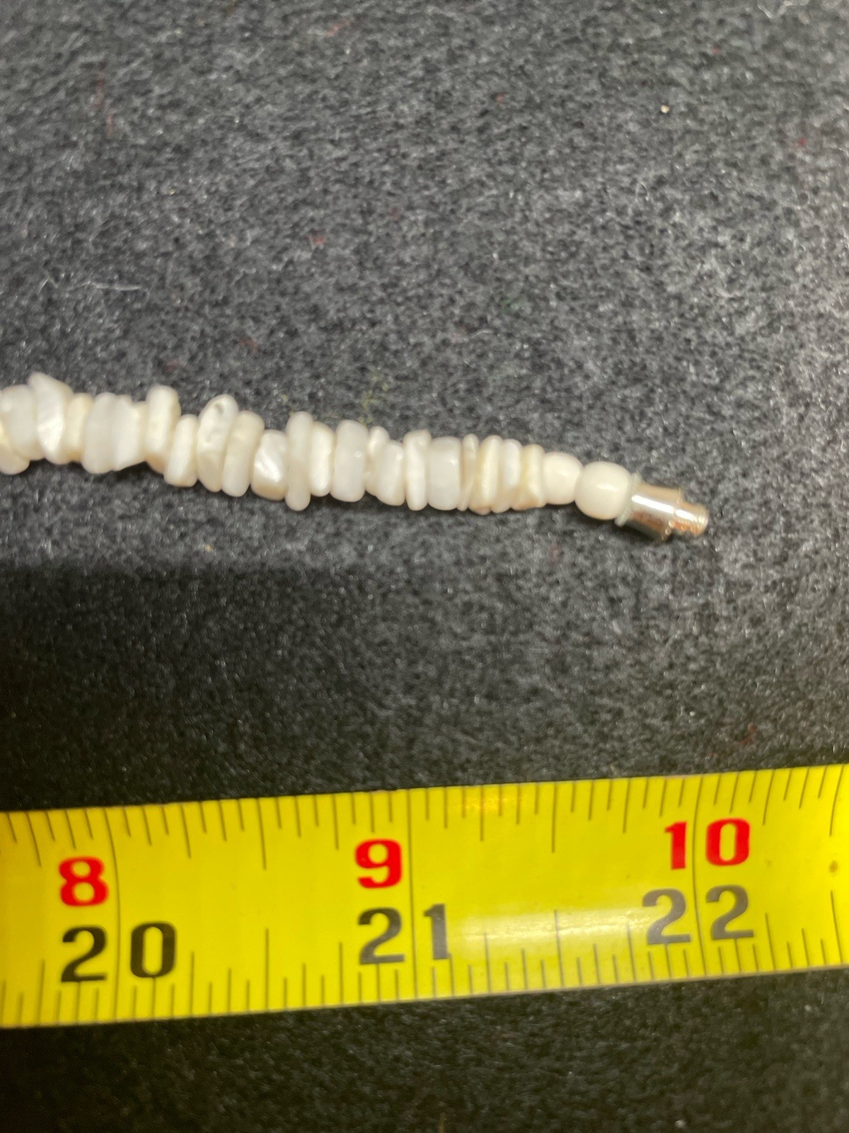 VTG Shell Necklace White Milk Moon Caribbean Snail and Cockle Shell 22 Inches