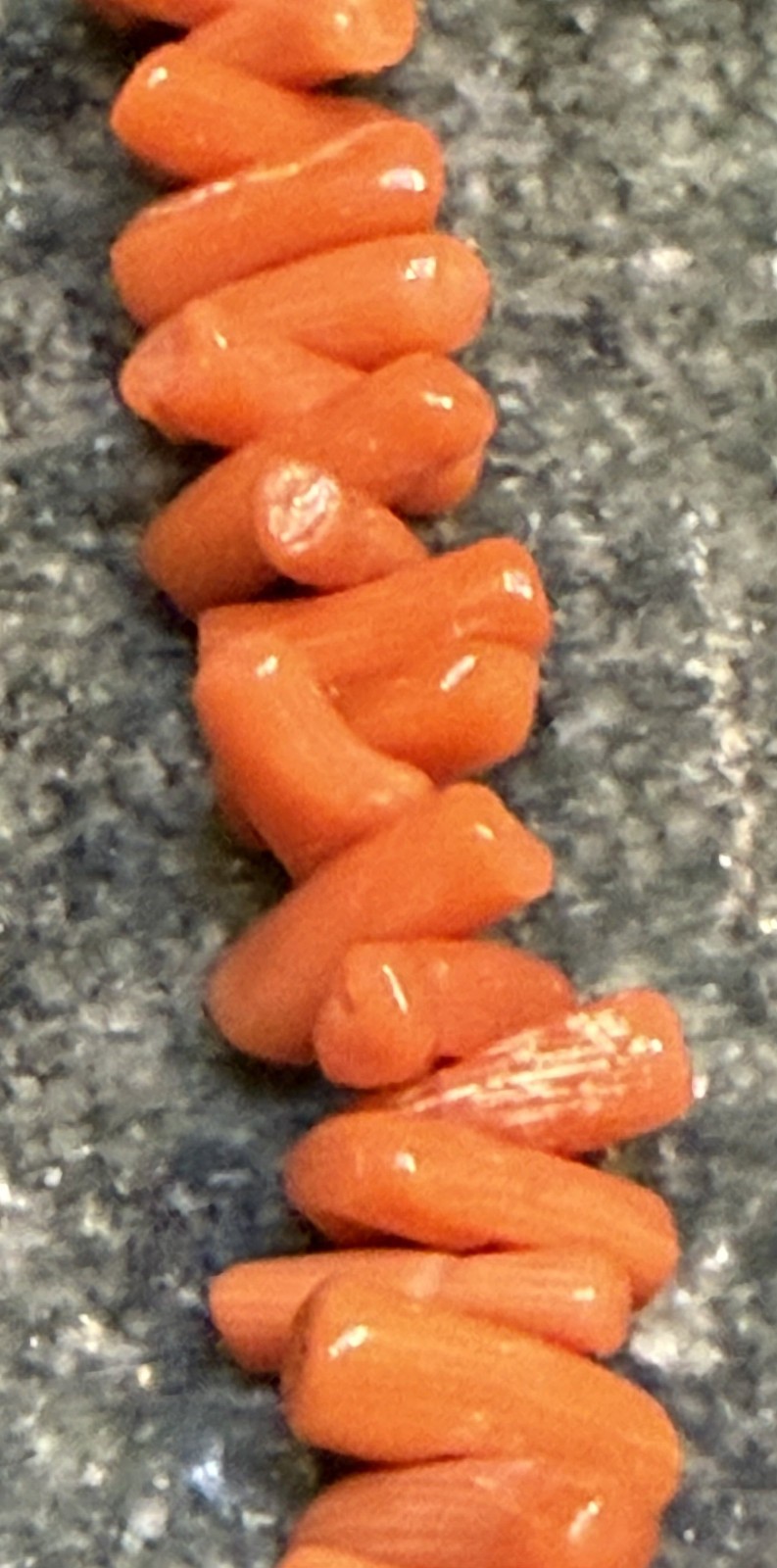 Vintage Italy Graduated Mediterranean Branch Coral Bead Necklace