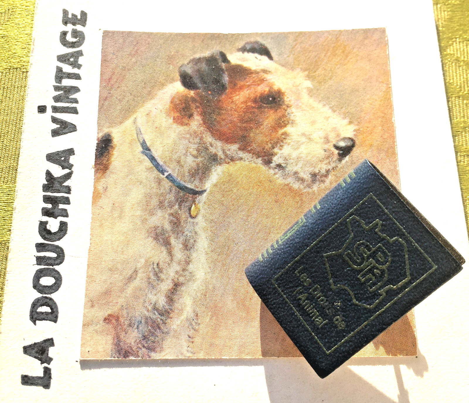 FRENCH RARE 1970s ANIMAL RIGHTS PIN BROOCH~SMALL BOOK SHAPE~UNIQUE VINTAGE GIFT
