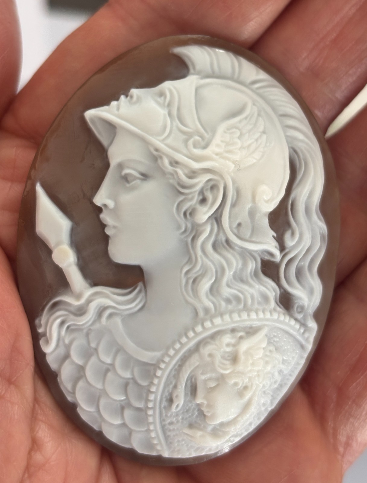 AMAZING SHELL CAMEO HANDMADE THE ATHENA