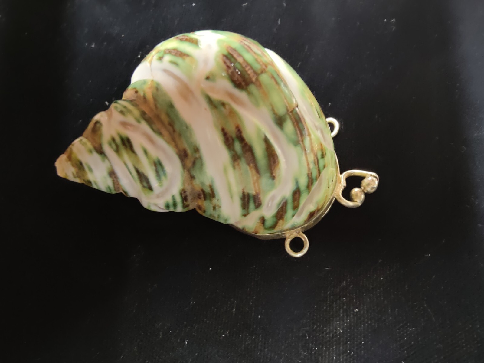 Natural Green Hand Carved 🐚 Sea Shell “Stash” Locket With Silver Free Shiping