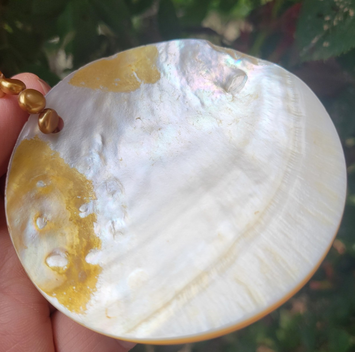 Vtg “Sunrise” Orange Mother Of Pearl w/ Faux Baroque Pearls Statement Pendant