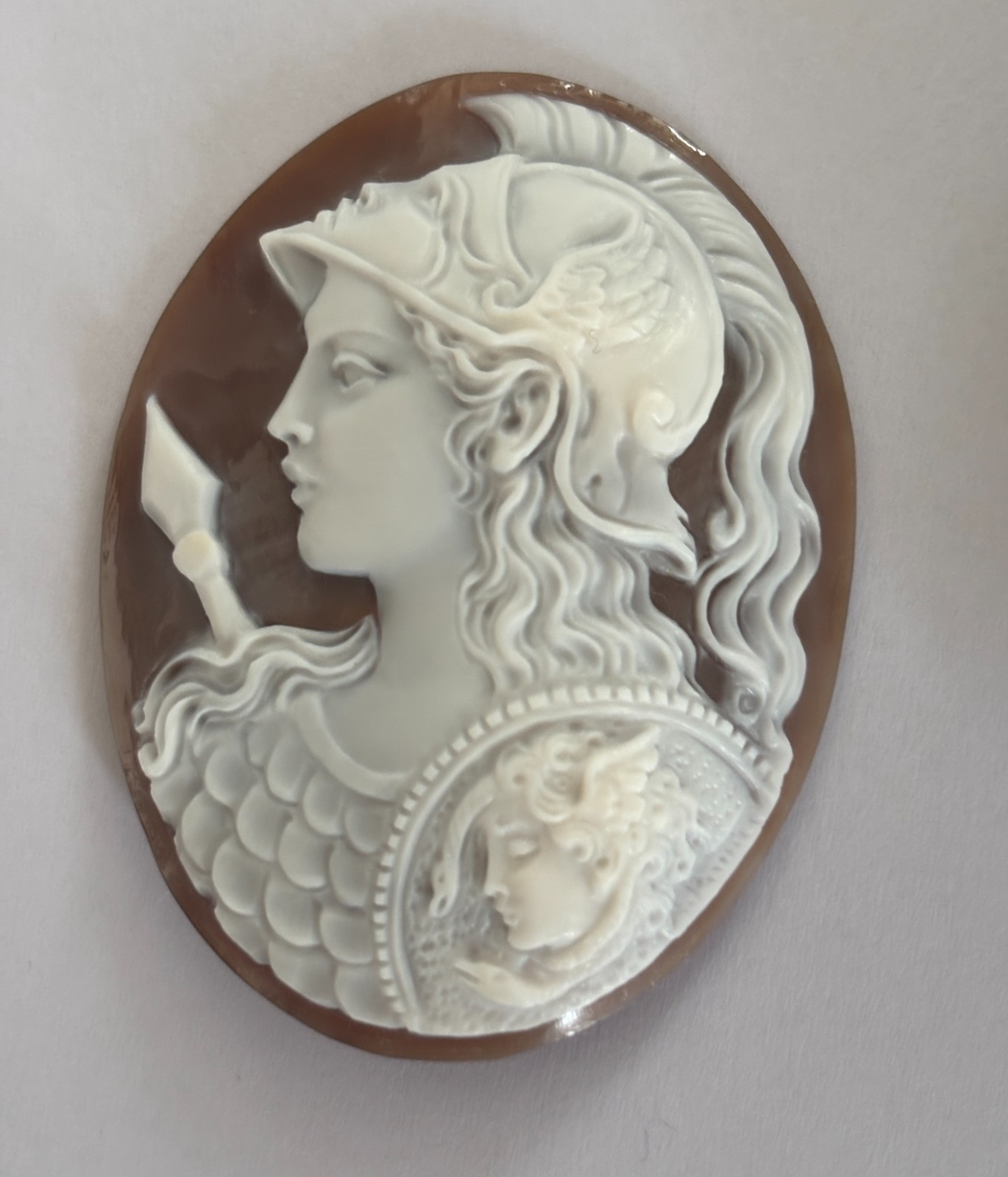 AMAZING SHELL CAMEO HANDMADE THE ATHENA