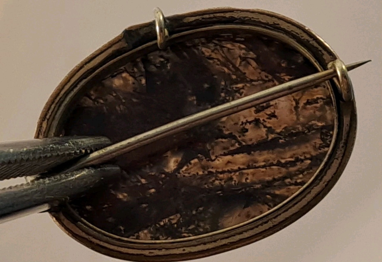 Antique Gold-Plated Blood Agate Translucent Pendant Pin Circa 1900