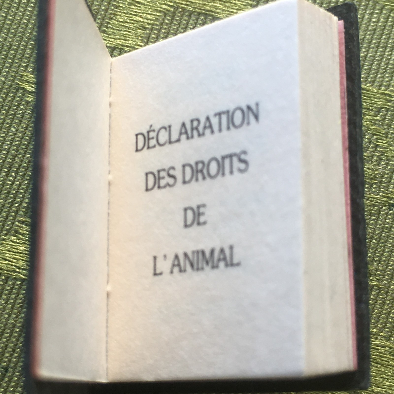 FRENCH RARE 1970s ANIMAL RIGHTS PIN BROOCH~SMALL BOOK SHAPE~UNIQUE VINTAGE GIFT