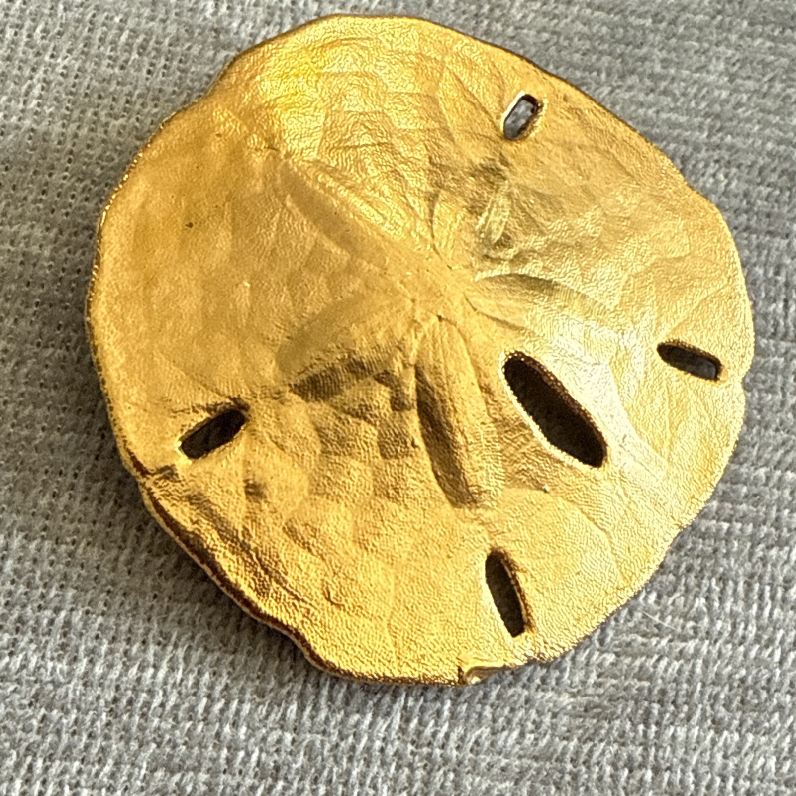 Vintage Large Brooch Pin Sand Dollar Gold Plated Estate Jewelry