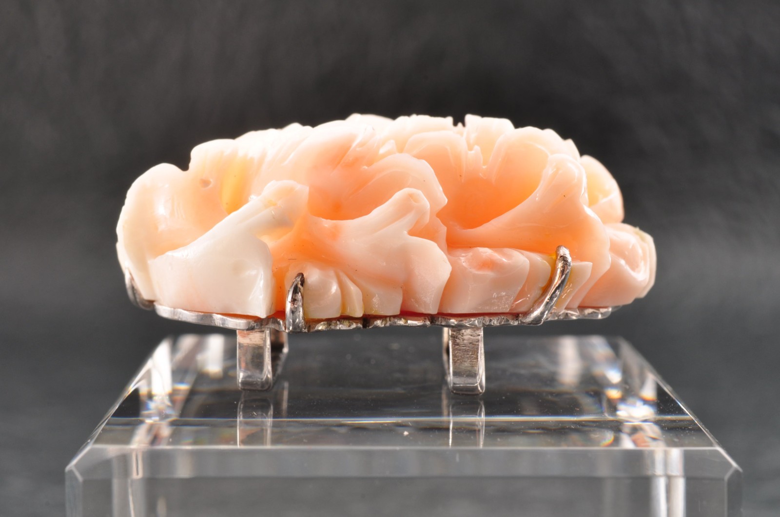 925 silver Vintage angel skin coral OBIDOME, “Peony” Certificate (total 95.5ct).