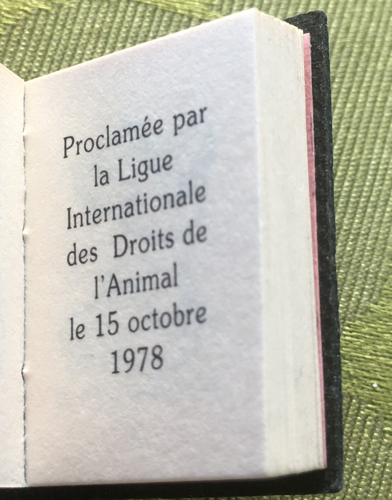 FRENCH RARE 1970s ANIMAL RIGHTS PIN BROOCH~SMALL BOOK SHAPE~UNIQUE VINTAGE GIFT