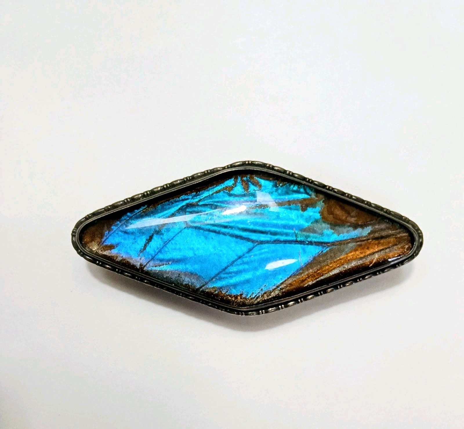 Antique Sterling Silver Brooch Signed “England” Bl. Butterfly wing in glass 2″