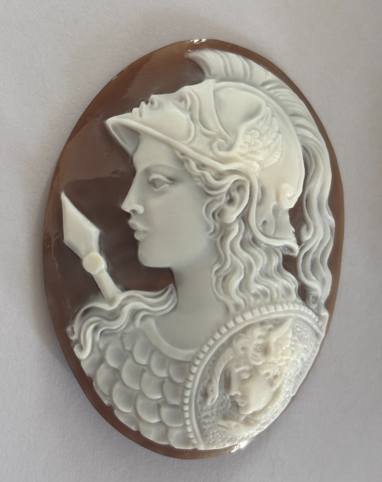 AMAZING SHELL CAMEO HANDMADE THE ATHENA