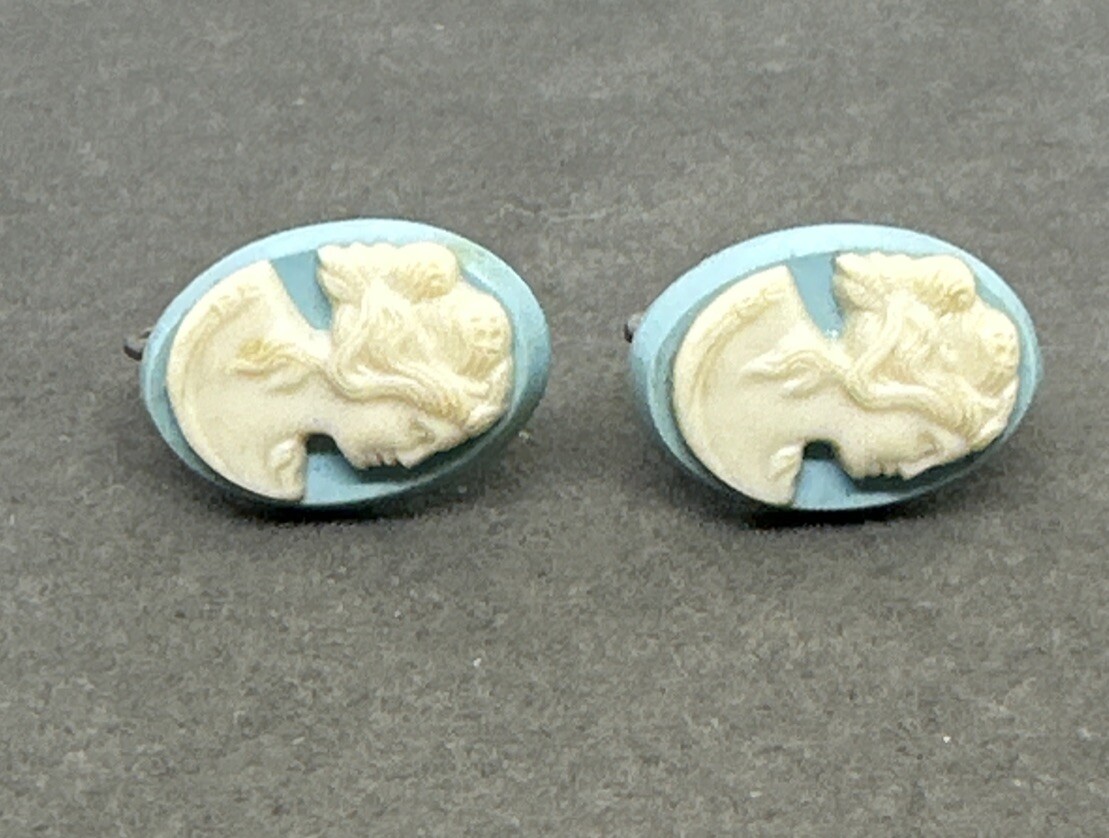 Vintage Cameo Earrings Screw Backs Dainty Classic Style Blue Lucite Design