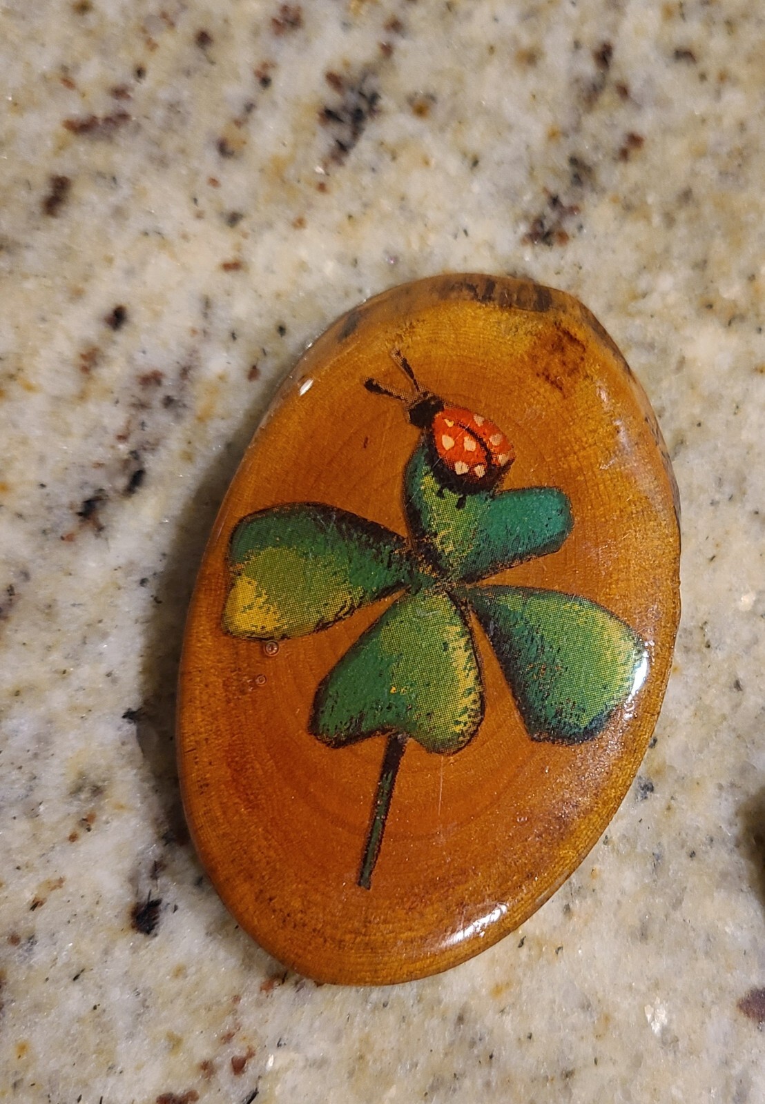 Vintage-Hand Painted Lady Bug & Owl Wood Brooch. Set of 2 Earthy Boho Nature