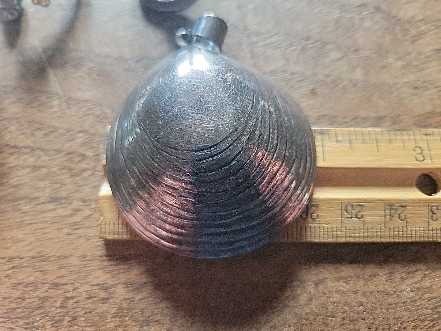 Large Vintage SALLY C TREASURES Sterling Silver Seashell Clam Shell Pendant