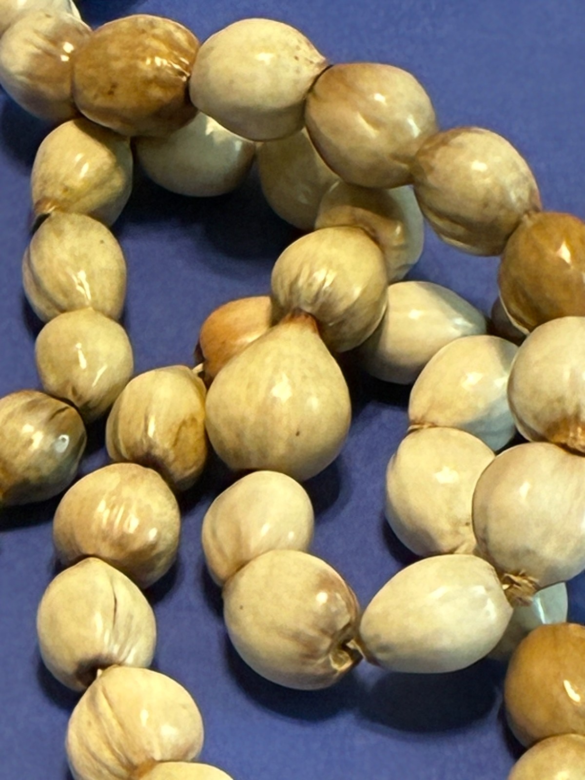 Long Natural Tropical Seed Necklace – Earthy Organic Boho Jewelry-Ethnic-Beachy