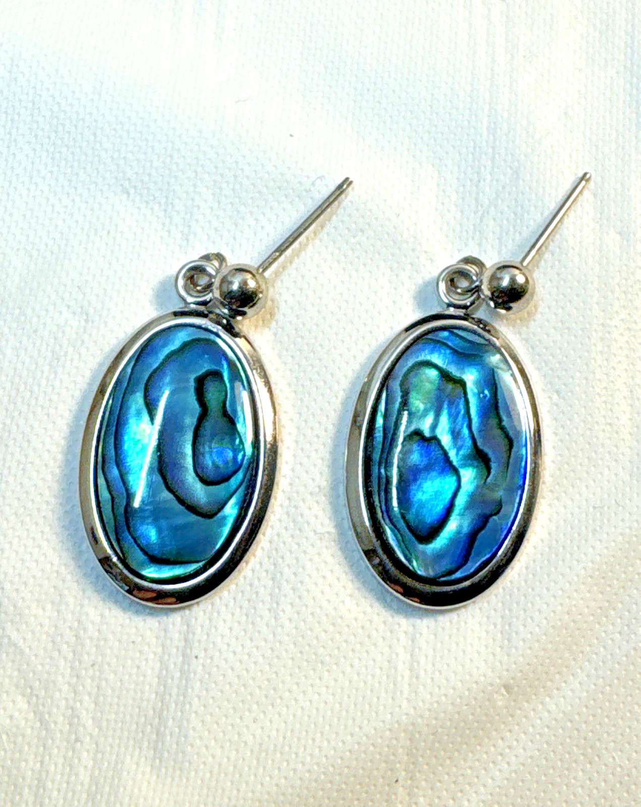 Australian Abalone Paua Shell Earns