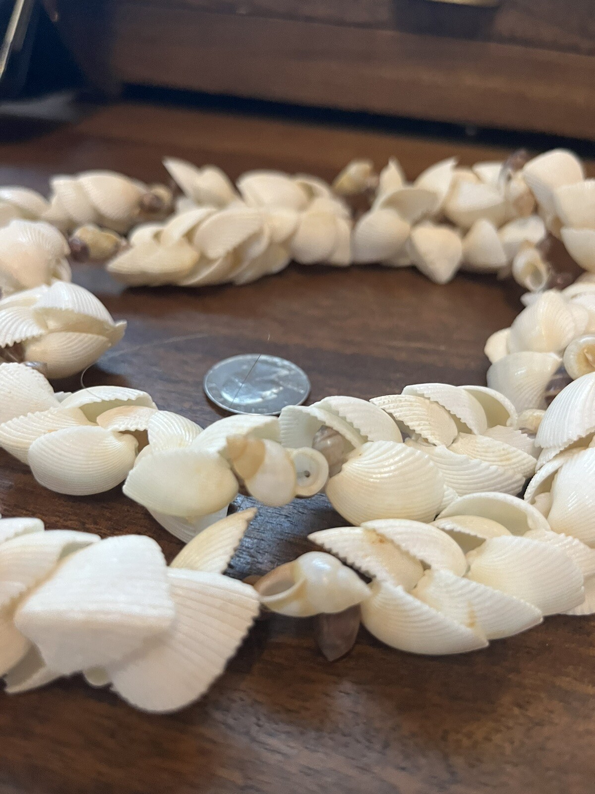 Vintage Hawaiian Wedding lei necklace 34 In Clam Shells Beautiful