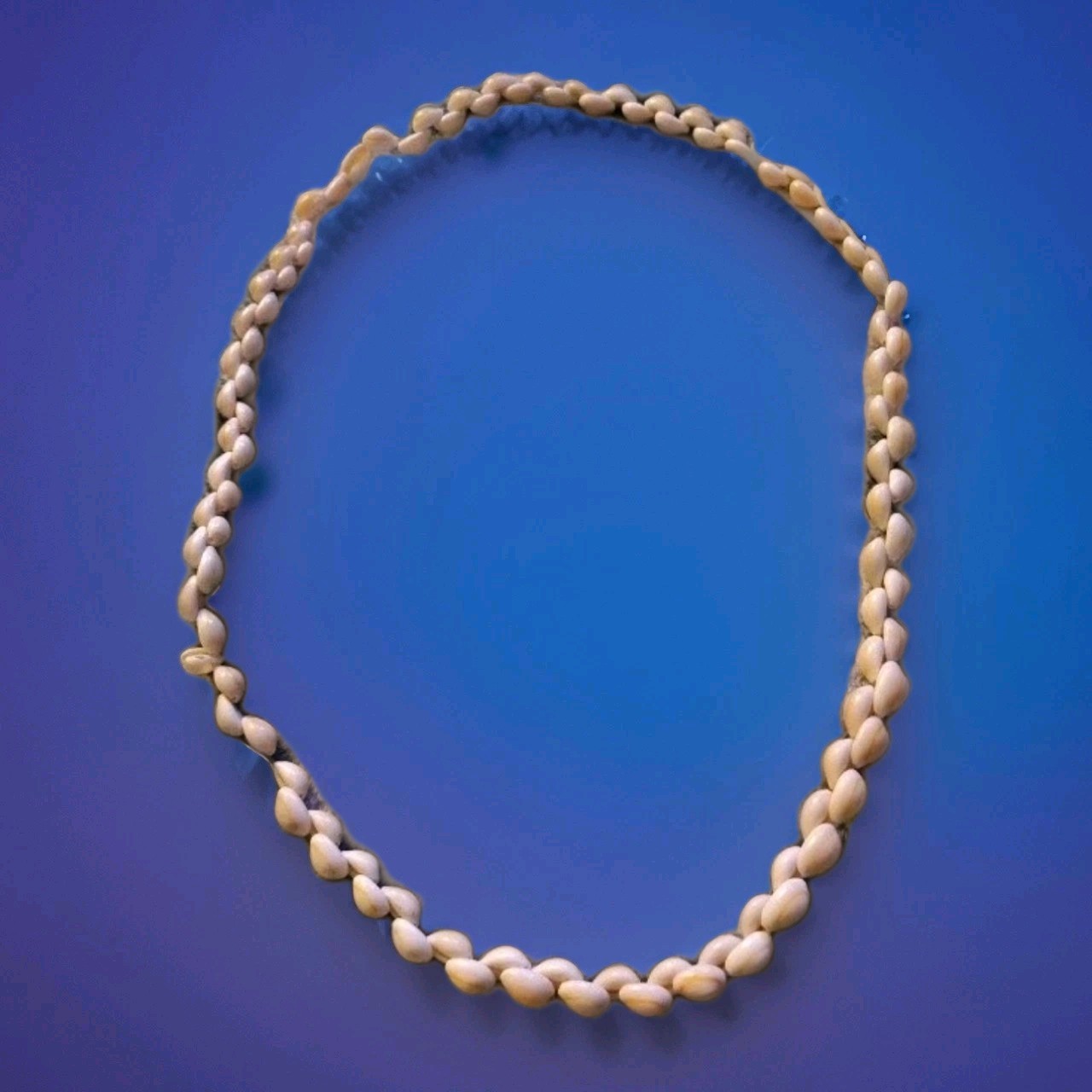Vintage Cowrie Twisted Necklace Natural Sea Shell Beaded 32” Beautiful