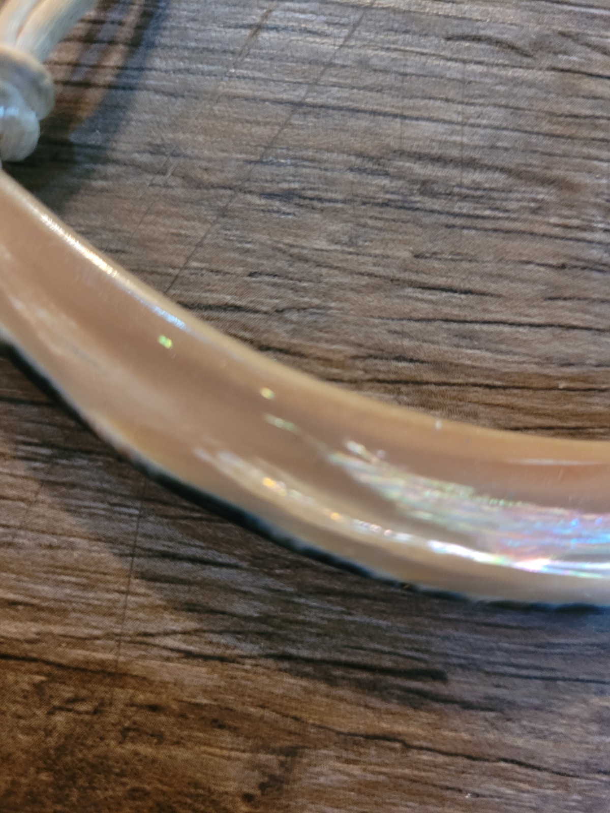 vintage boho choker necklace curved abalone shell pendant on a leather cord