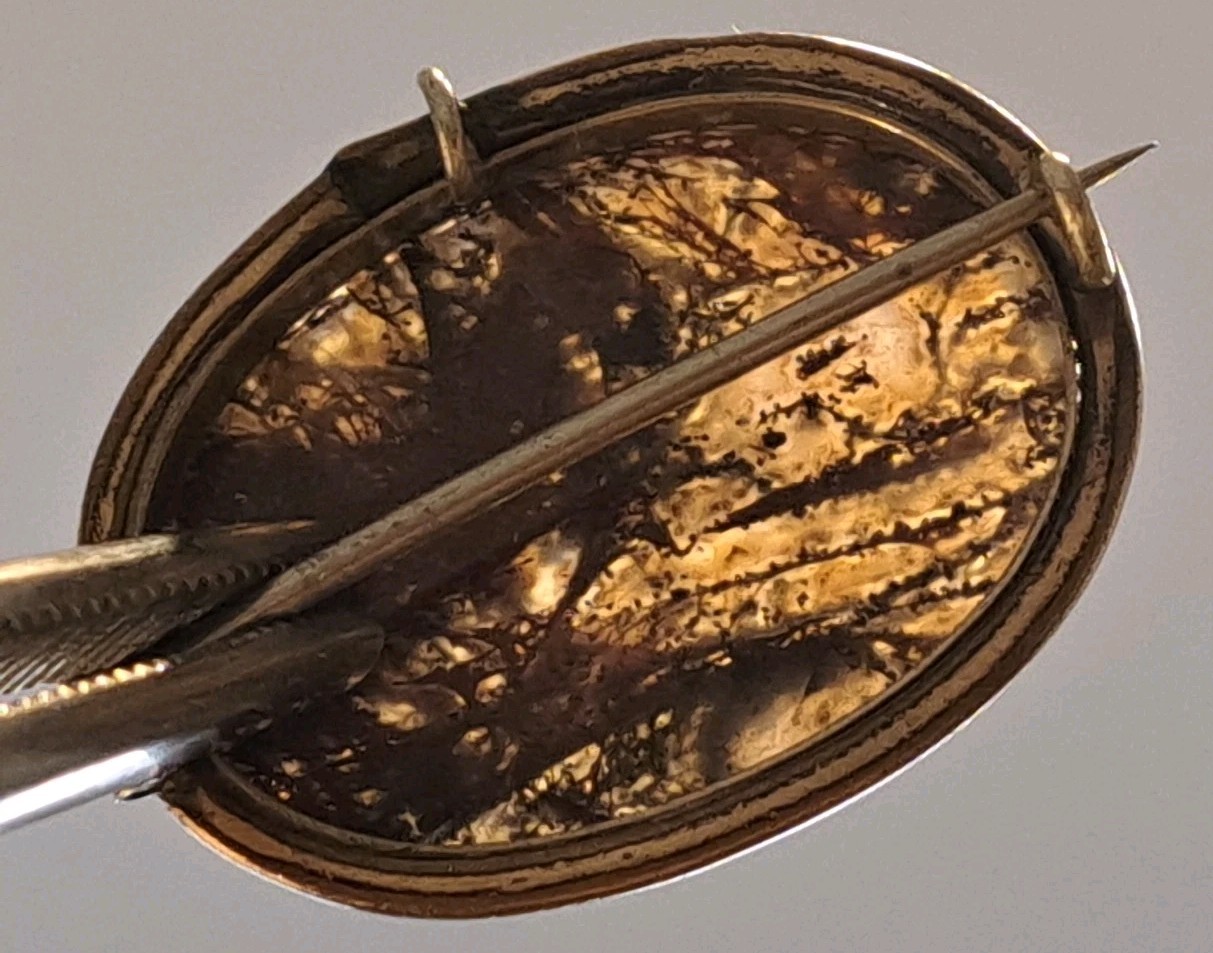 Antique Gold-Plated Blood Agate Translucent Pendant Pin Circa 1900