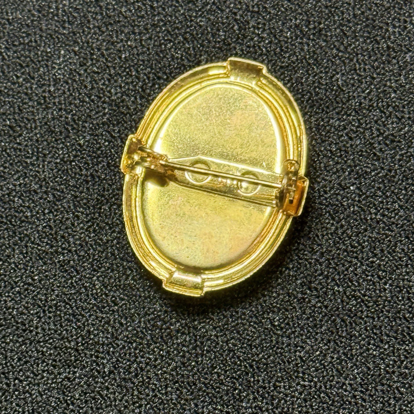 Vintage Cameo Brooch Gold Tone Ivory And Coral Toned