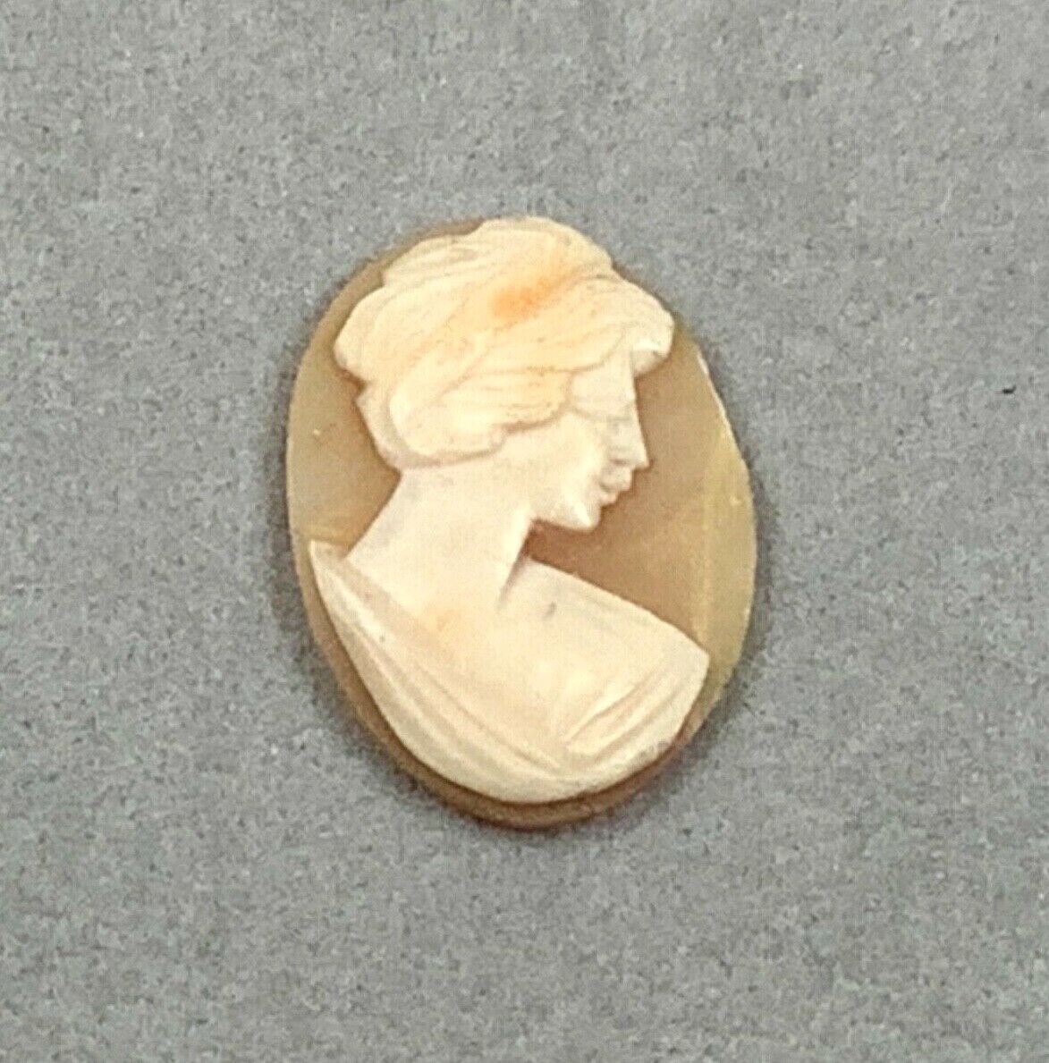 PROJECT PIECE Hand-Carved Right Facing Shell Cameo, No Bezel/Shell Only, 1” Tall