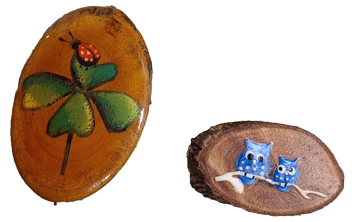 Vintage-Hand Painted Lady Bug & Owl Wood Brooch. Set of 2 Earthy Boho Nature
