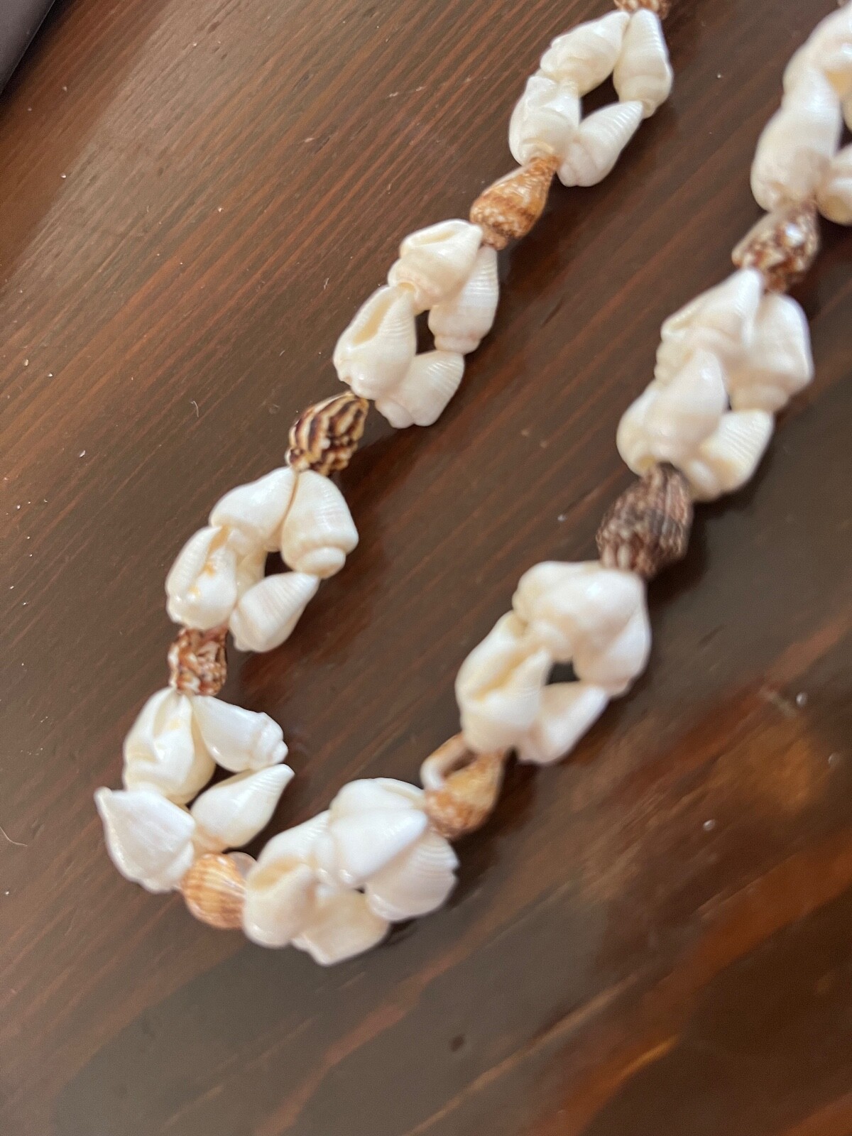 Vintage Shell Necklace 36″ Strand White and Brown Shells