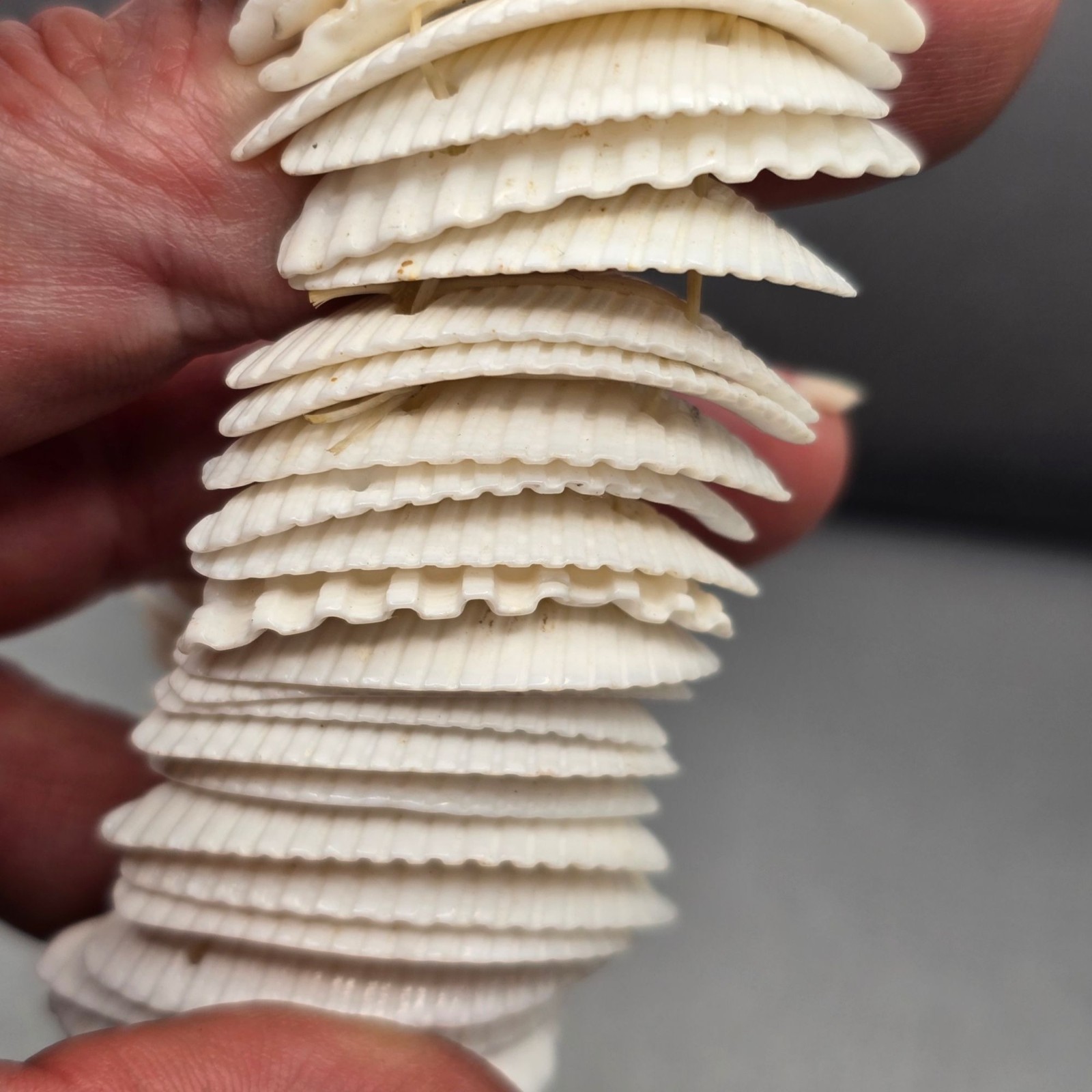 Vintage White Seashell Stretch Bracelet Bohemian Textured Statement