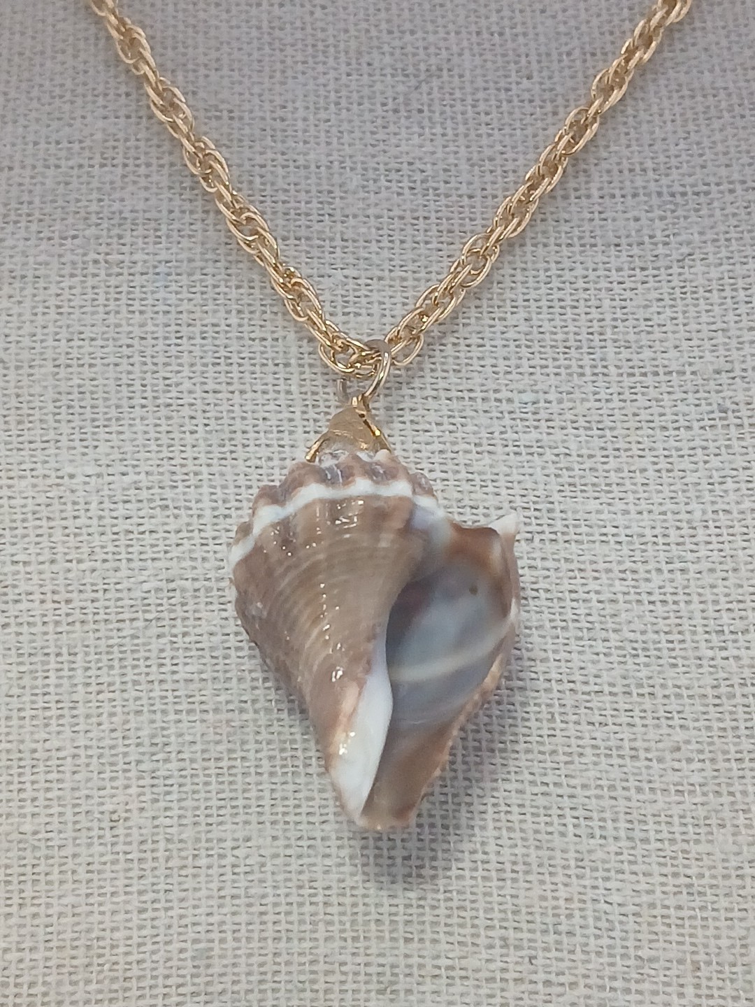 Summer Fun vintage gold tone chain natural sea shell pendant necklace