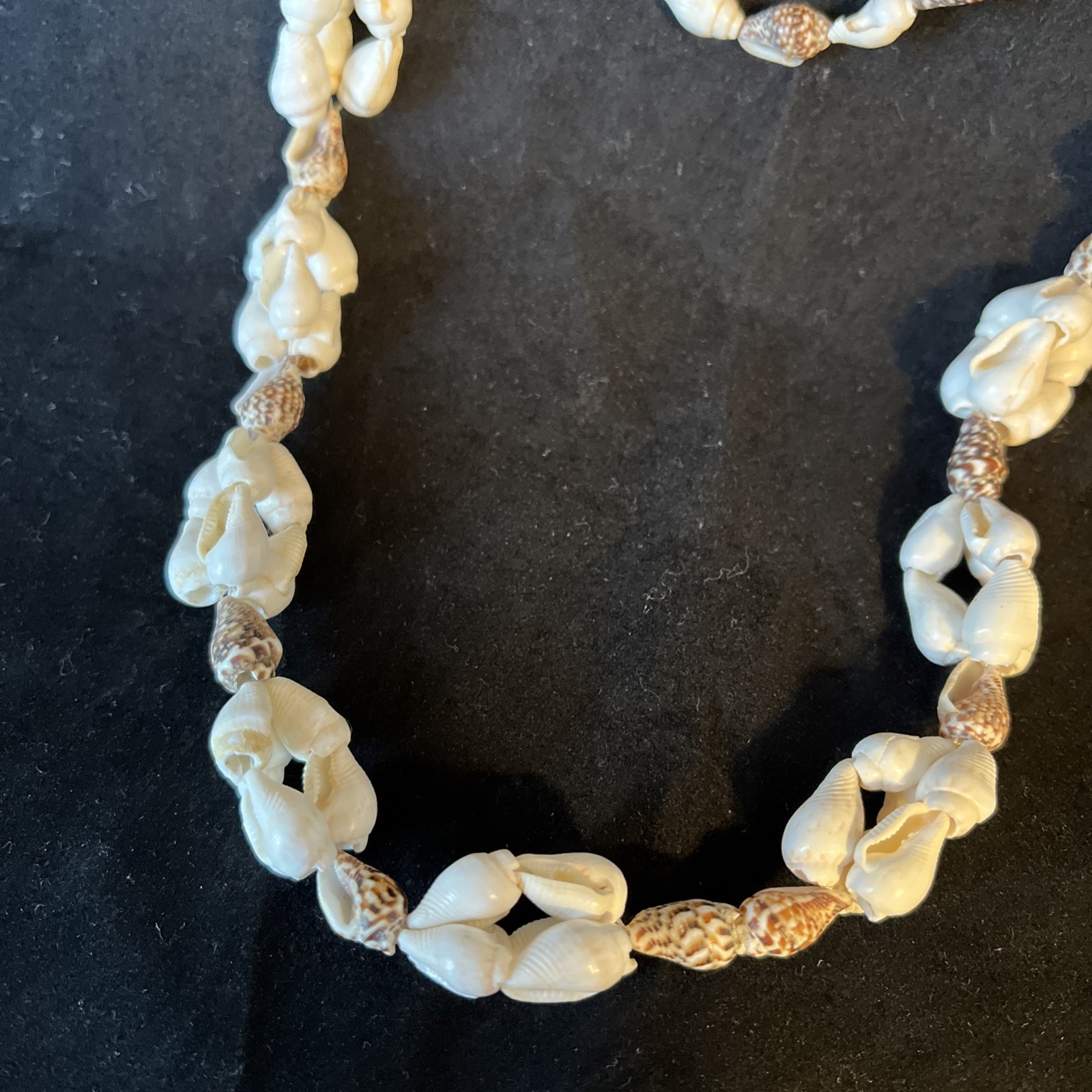 Long Sea Shell Necklace Tiny Whelks 35in Natural Real Seashells Handmade