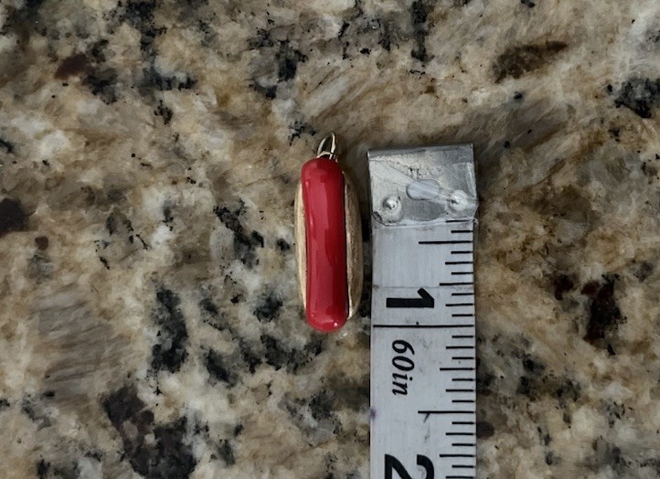 Avon Signed 1975 Hot Dog Gold Red Charm 1” “Put On The Dog” Enamel Pendant