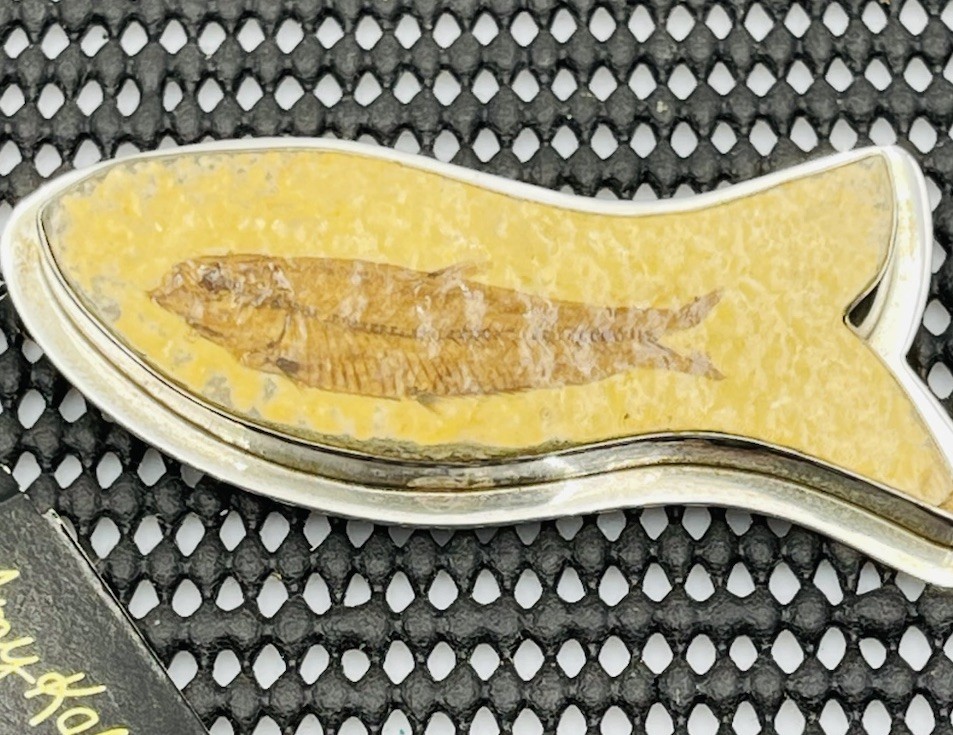 Amy Kahn Russell Vintage Sterling Silver Fish Fossil Brooch Pin