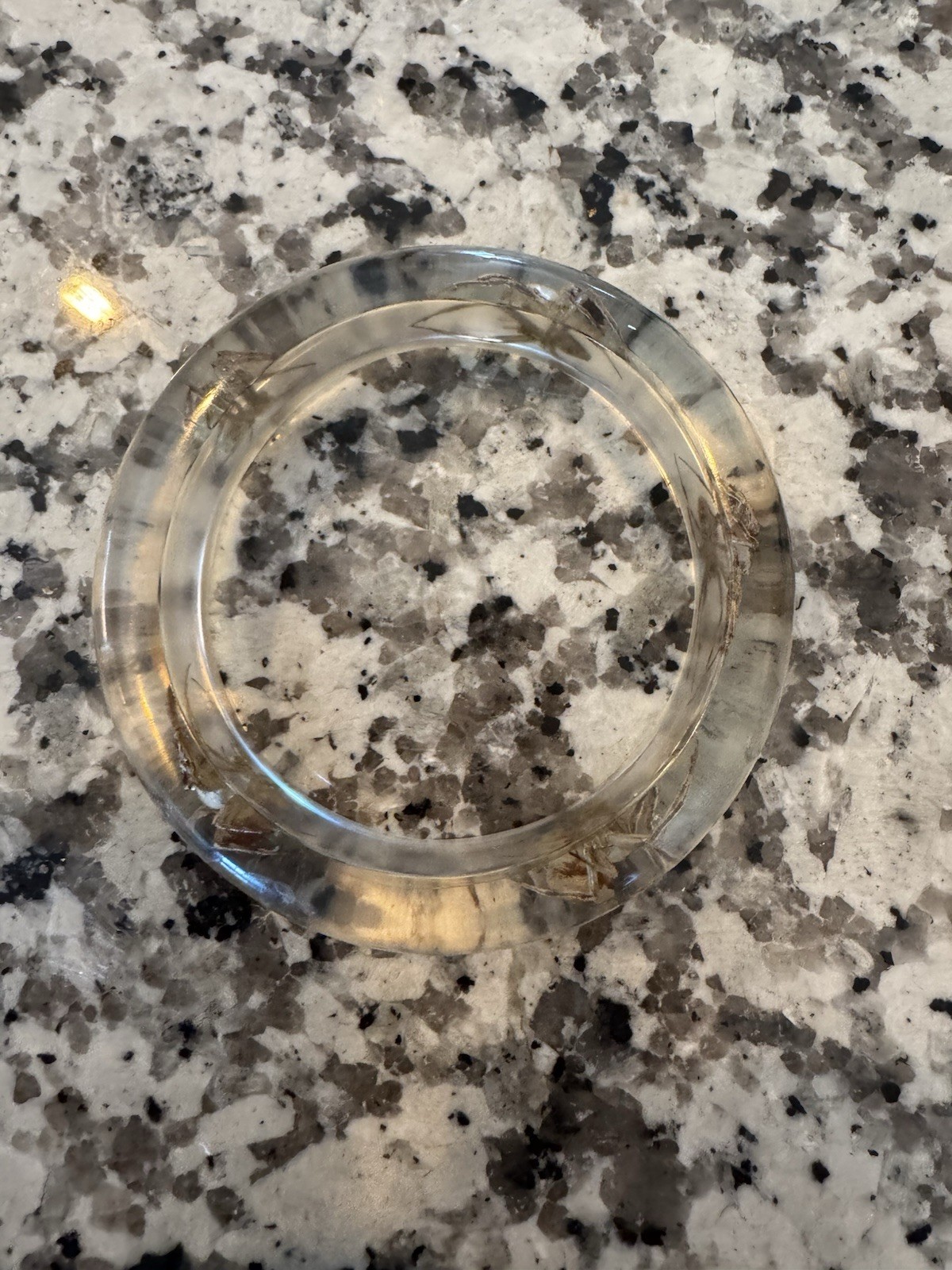 Vintage Lucite SPIDER Bangle Bracelet Real Bugs Embedded Resin Oddities Jewelry