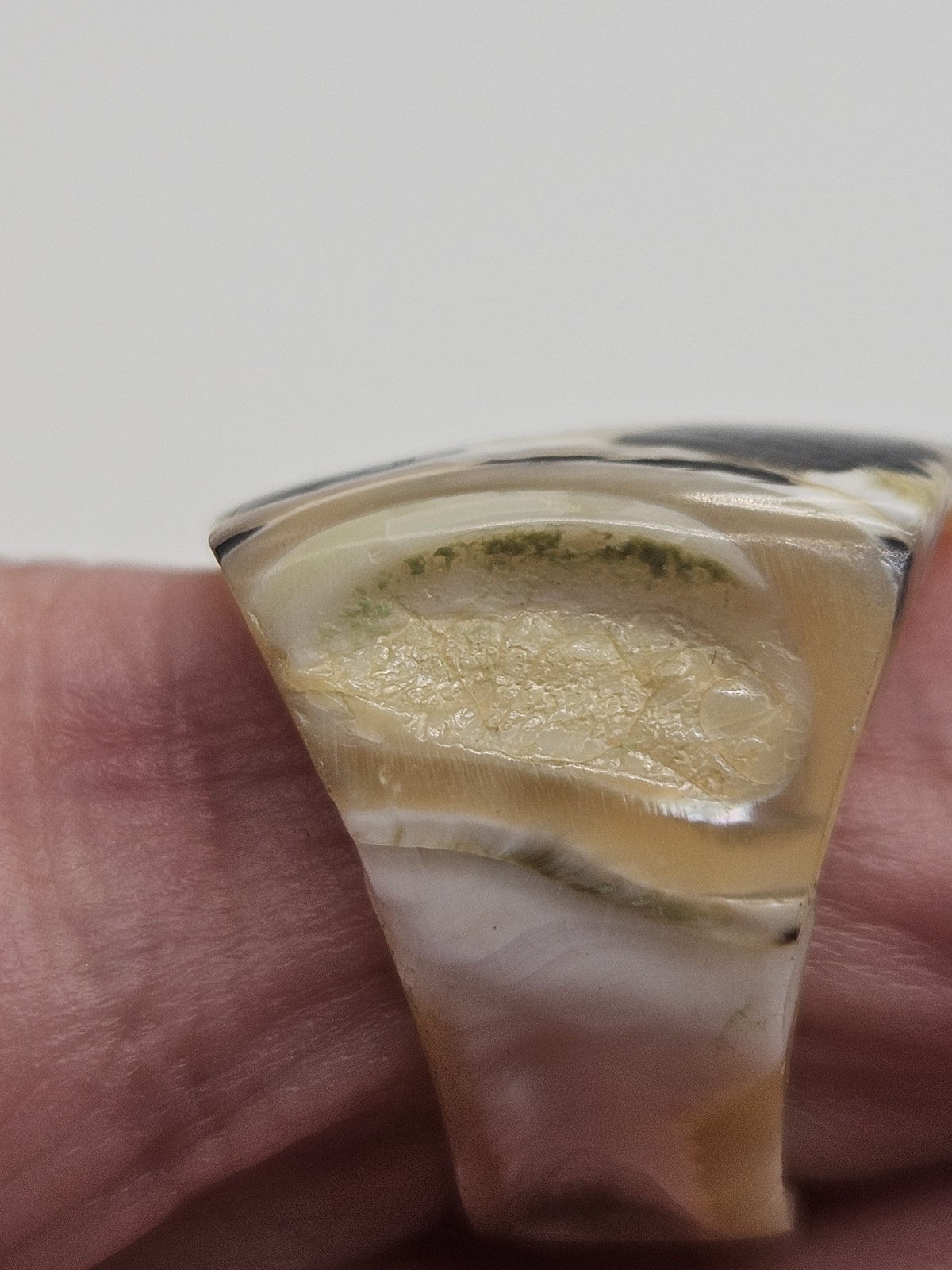 Vintage Natural Sea Shell Band Ring Size 5