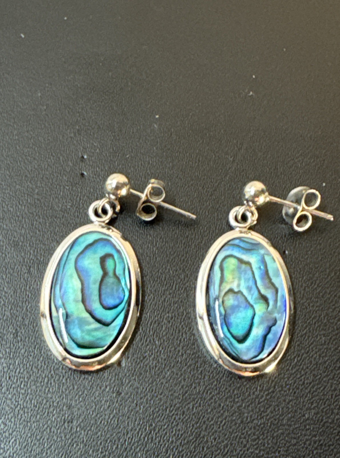 Australian Abalone Paua Shell Earns
