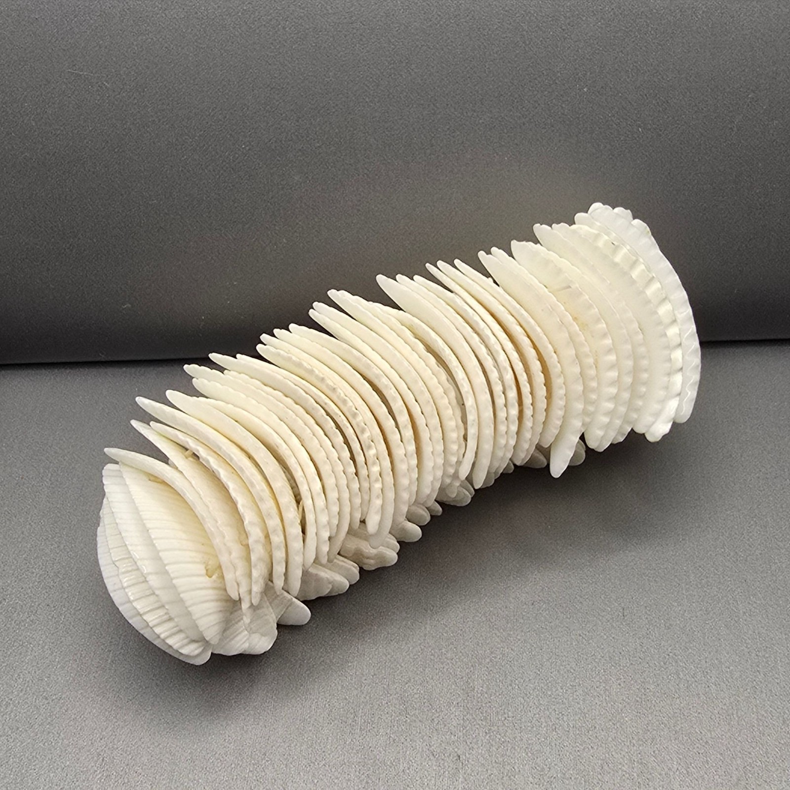 Vintage White Seashell Stretch Bracelet Bohemian Textured Statement