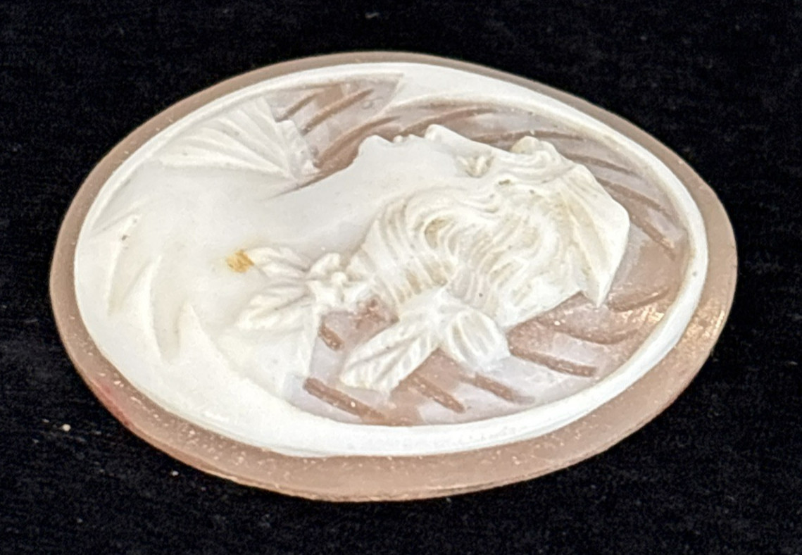 Loose Antique Carved Shell Cameo Portrait Lady Styled Hair Detailed Background