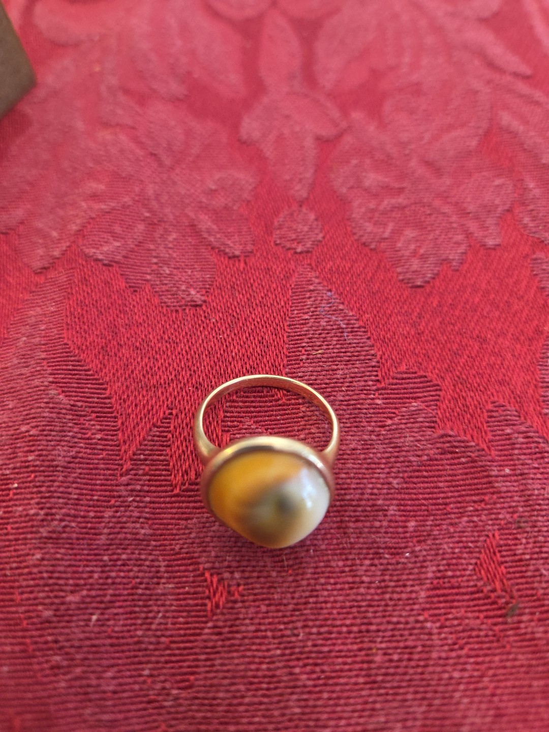 Eye Of Shiva Operculum 9 KARAT GOLD RING Antique Victorian